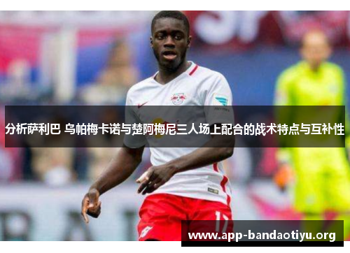 分析萨利巴 乌帕梅卡诺与楚阿梅尼三人场上配合的战术特点与互补性