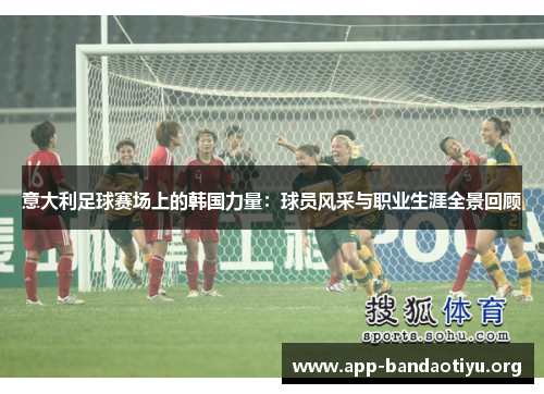 意大利足球赛场上的韩国力量：球员风采与职业生涯全景回顾