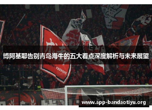 博阿基耶告别青岛海牛的五大看点深度解析与未来展望