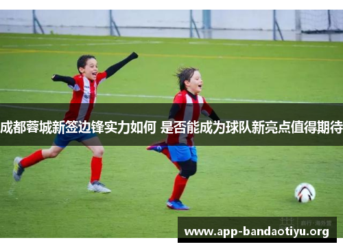 成都蓉城新签边锋实力如何 是否能成为球队新亮点值得期待