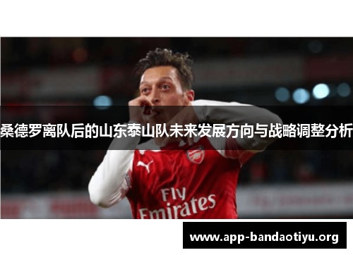 桑德罗离队后的山东泰山队未来发展方向与战略调整分析