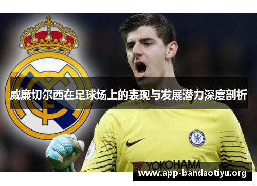 威廉切尔西在足球场上的表现与发展潜力深度剖析