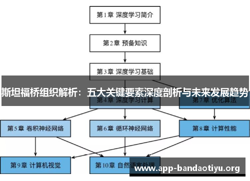 斯坦福桥组织解析：五大关键要素深度剖析与未来发展趋势