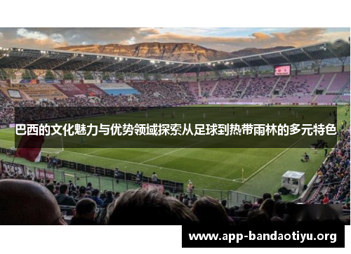 巴西的文化魅力与优势领域探索从足球到热带雨林的多元特色