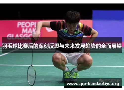 羽毛球比赛后的深刻反思与未来发展趋势的全面展望