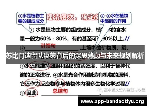苏比门迪留队决策背后的深思熟虑与未来规划解析