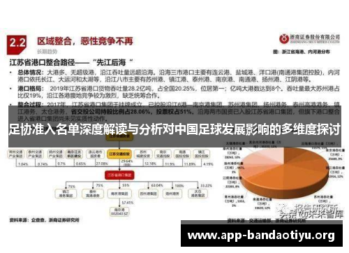足协准入名单深度解读与分析对中国足球发展影响的多维度探讨
