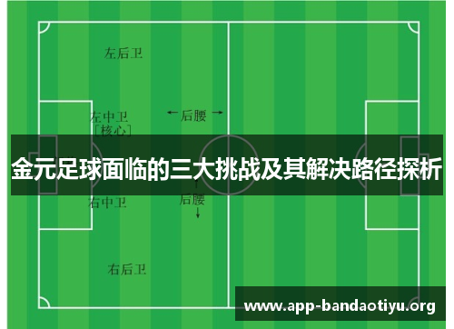 金元足球面临的三大挑战及其解决路径探析