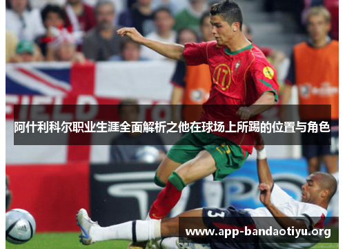 阿什利科尔职业生涯全面解析之他在球场上所踢的位置与角色